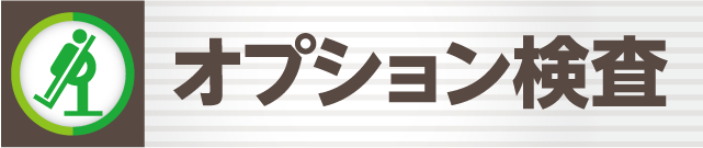 オプション検査